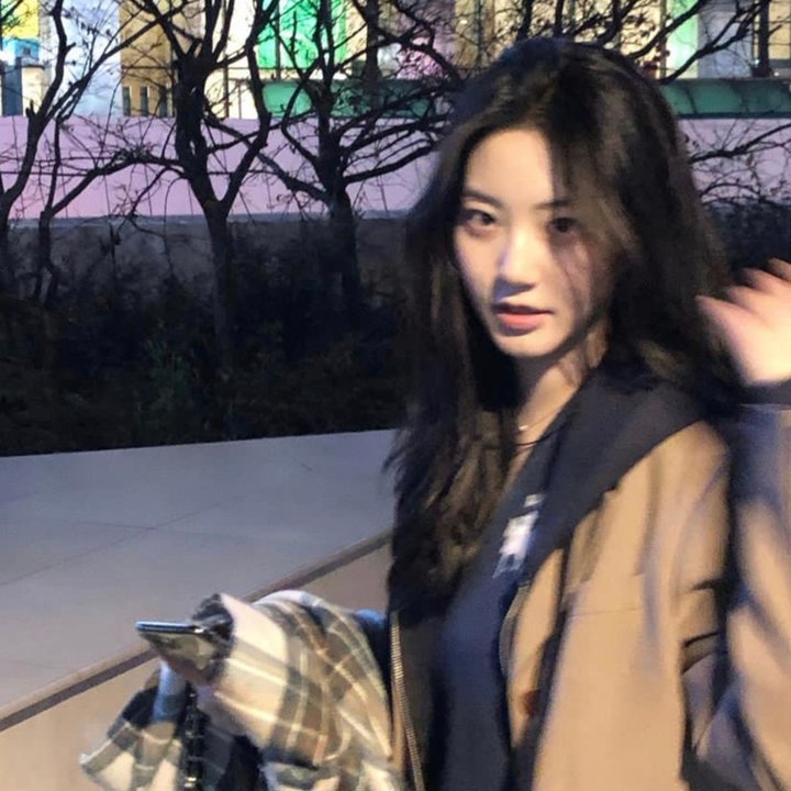 你的老鼠朋友